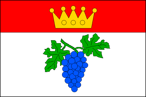 Vlajka obce Čučice