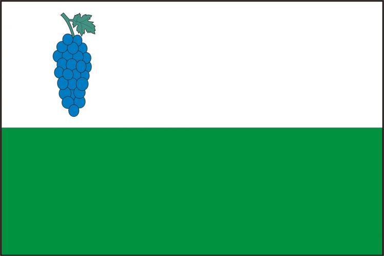 Vlajka obce Viničné Šumice
