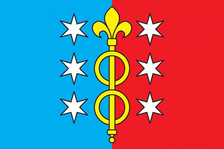 Vlajka obce Radonín