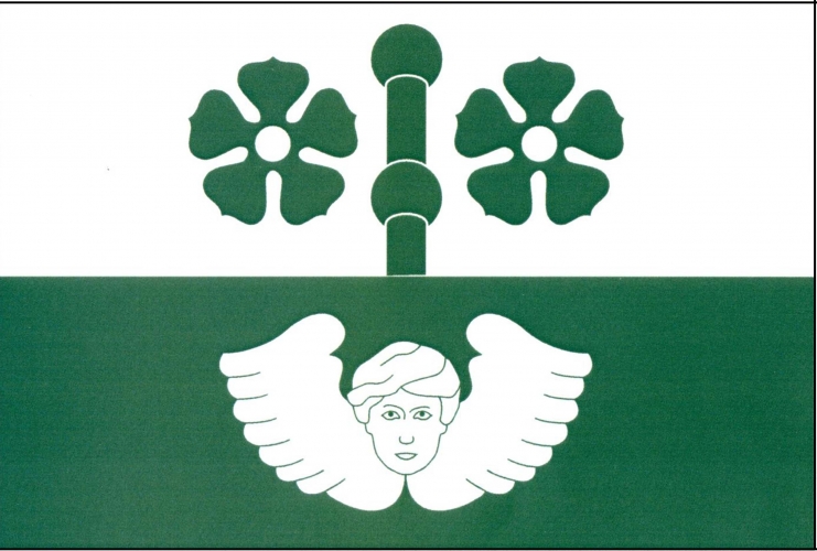Vlajka obce Zašovice