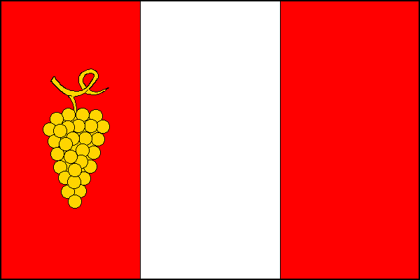 Vlajka obce Bošovice