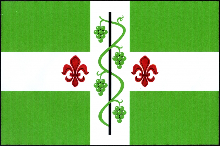 Vlajka obce Dolenice