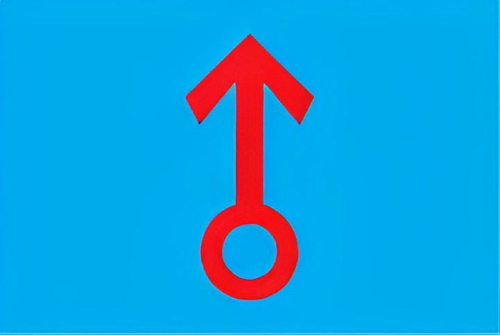 Vlajka obce Vémyslice