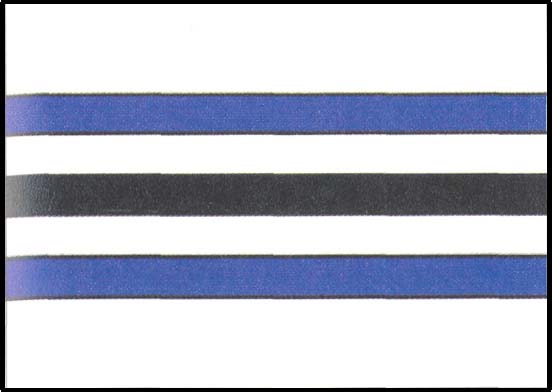 Vlajka obce Dolní Loučky