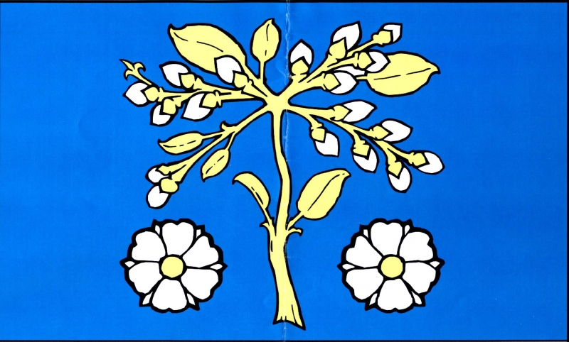 Vlajka obce Jívoví