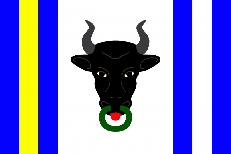 Vlajka obce Koroužné