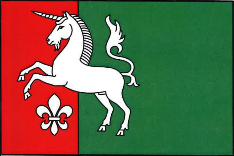 Vlajka obce Radenice