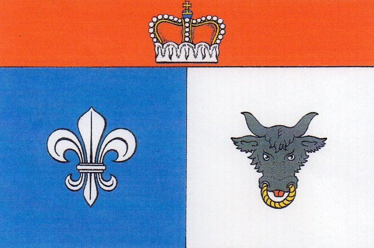 Vlajka obce Velké Janovice