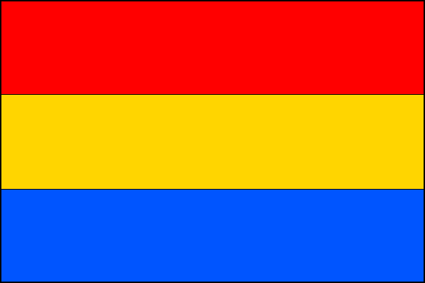 Vlajka obce Český Těšín