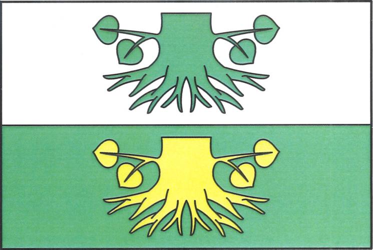 Vlajka obce Pařezov